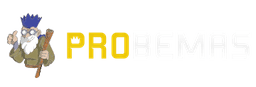 Buy RS Gold within 5Min! Best Site for Fast & Cheap Runescape Gold